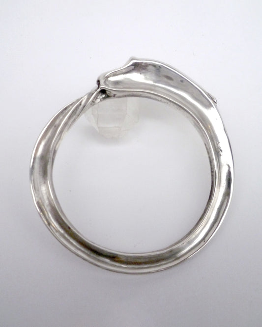 Onda Ouroborica